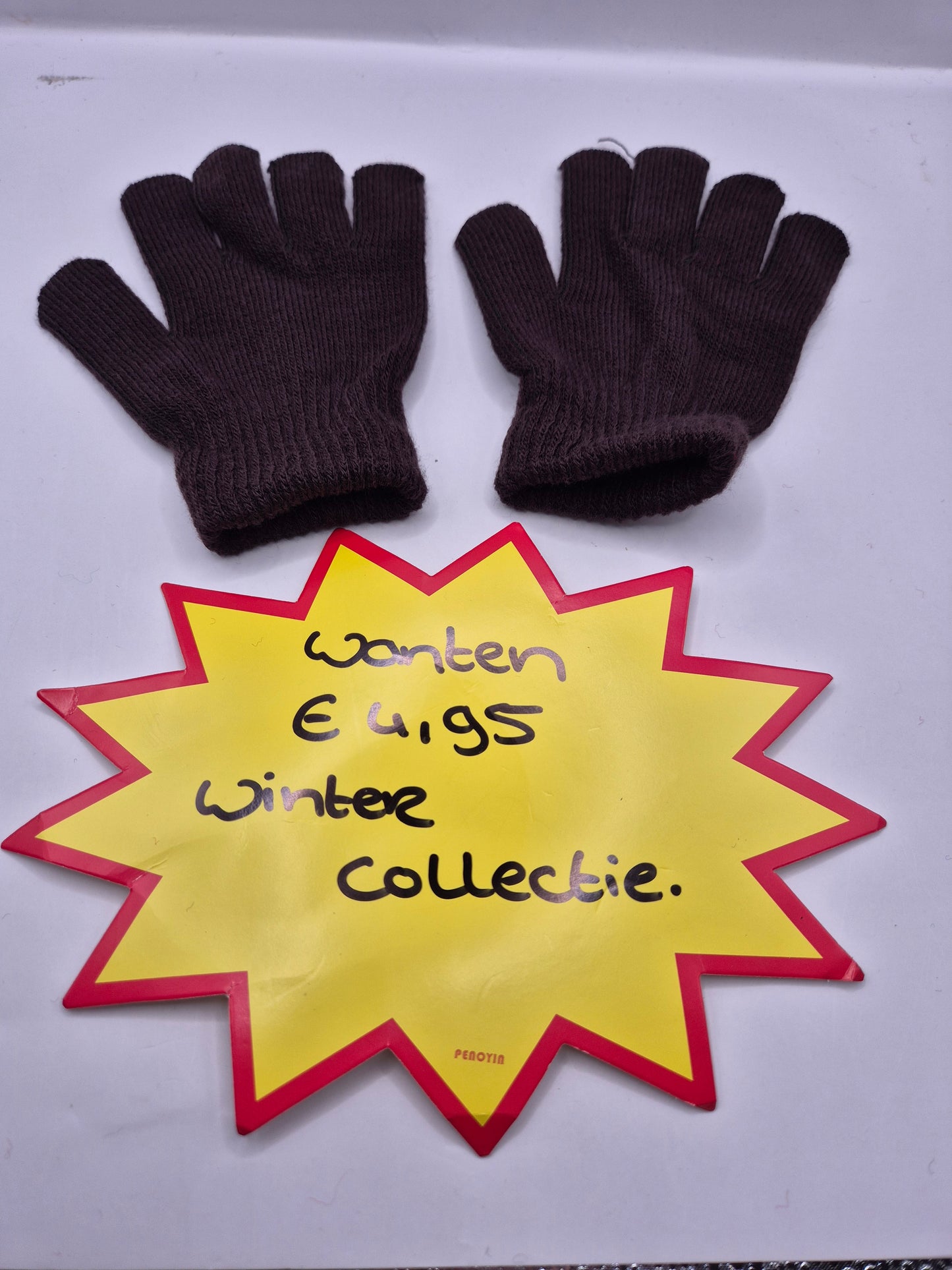 wanten/ handschoenen