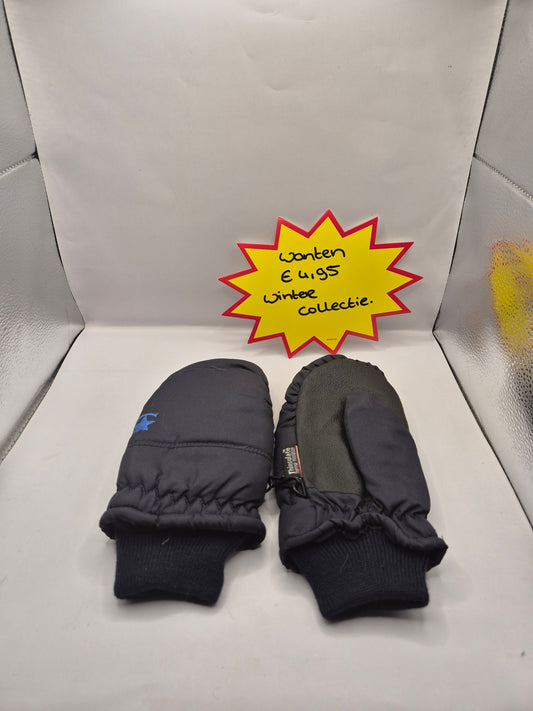wanten/handschoenen