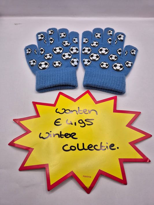 wanten/ handschoenen