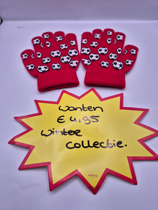 wanten/handschoenen