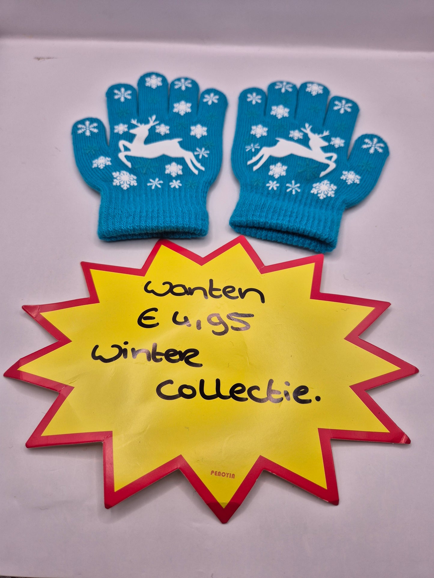 wanten /handschoenen
