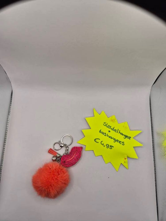 tas en sleutel hanger in 1