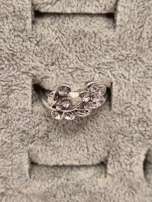 bling bling ring